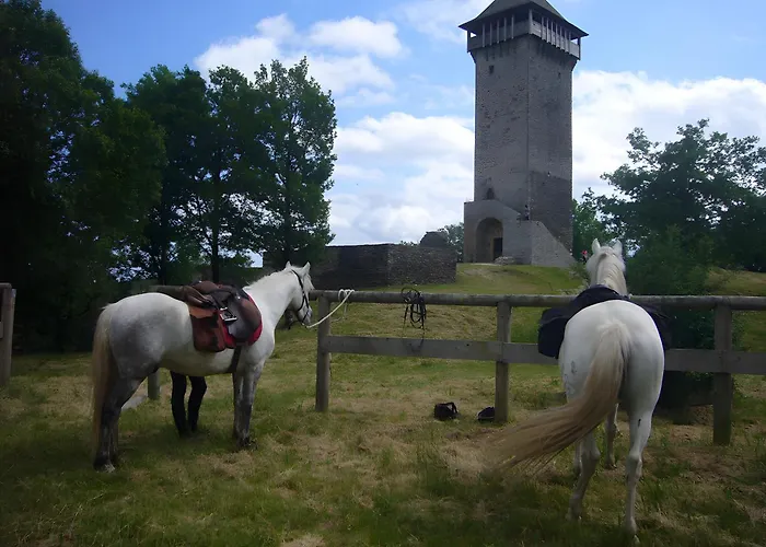 Les 2 Chouettes Holiday home *